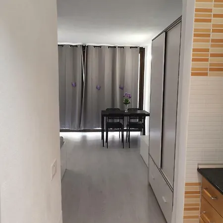 Apartment Olympia Playa de las Americas (Tenerife)